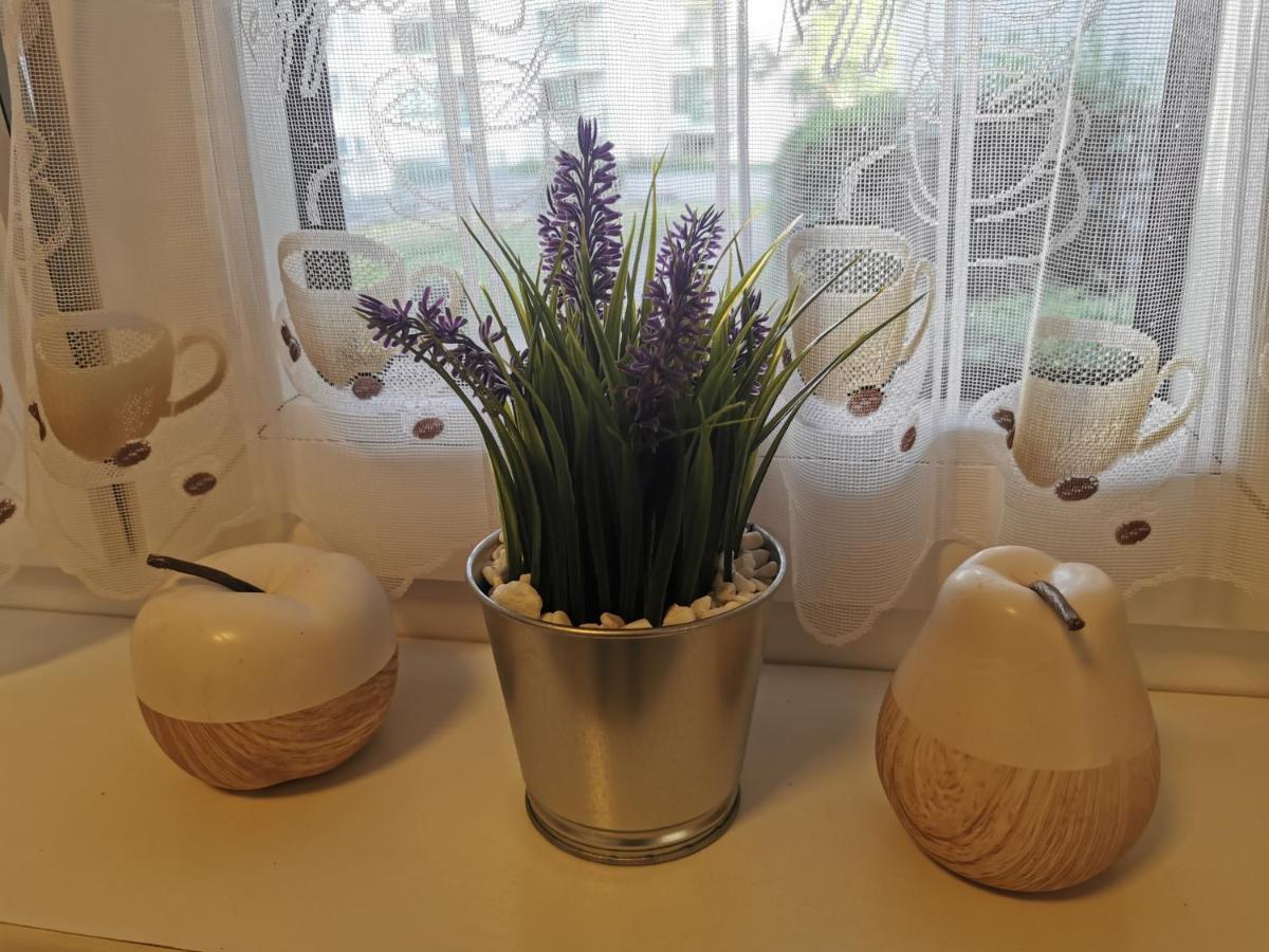 Schoene 3-Zimmer Erdgeschosswohnung Am Bergpark,Unesco,Therme,Train, Wilhelmshoeher Allee 329 Κάσελ Εξωτερικό φωτογραφία